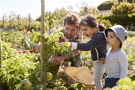  《Your Edible Garden: Grow Your Own Food & Herbs》： 一場關於美味與自然交織的奇幻旅程